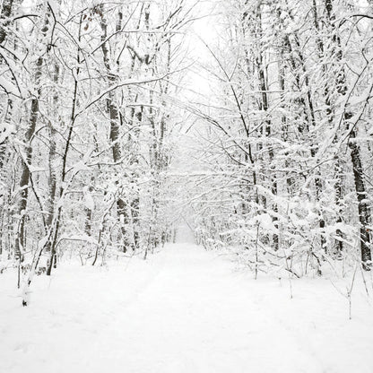 Vivolux | Witte sneeuwbedekte boomloze muurmuur winterlandschap moderne vochtbestendige wanddecoratie