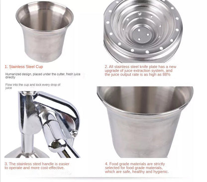 Vivolux | Stainless Steel Fruit Juicer