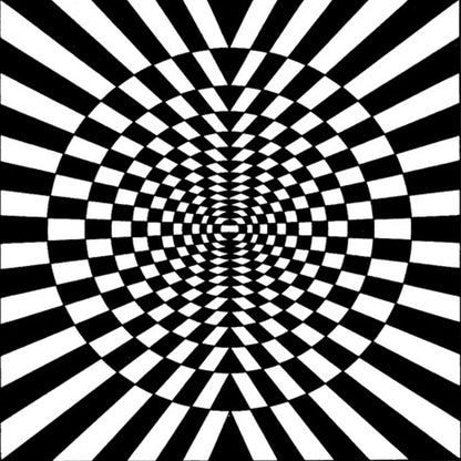 Vivolux | Neuheit Wohnzimmer Teppich in Schwarz und Weiß 3D Kreis Streifen Druck Teppich Polyester Haustierfreundlicher Waschbarer Teppich