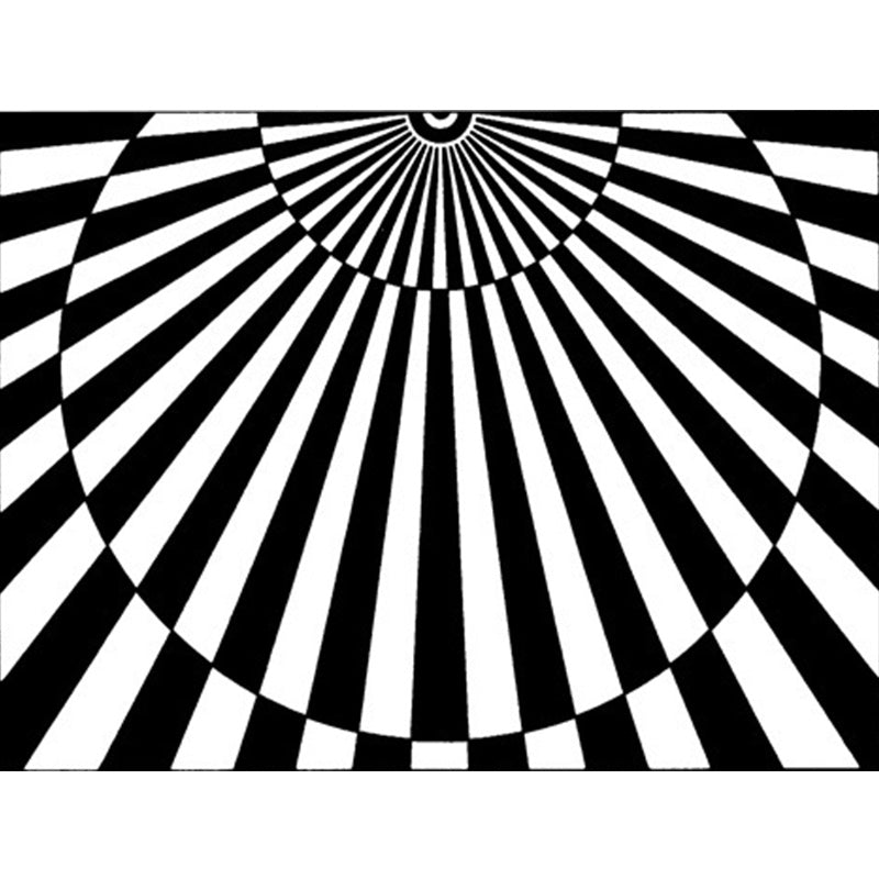 Vivolux | Neuheit Wohnzimmerteppich in Schwarz und Weiß 3D Halbkreis Streifenmuster Teppich Polyester Haustierfreundlich Waschbarer Teppich