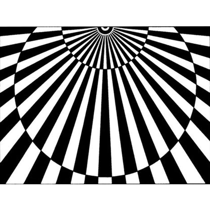 Vivolux | Neuheit Wohnzimmerteppich in Schwarz und Weiß 3D Halbkreis Streifenmuster Teppich Polyester Haustierfreundlich Waschbarer Teppich