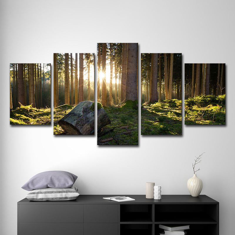 Vivolux | Zonsopgang in het Bos Canvas Kunst Donkergroen Hedendaagse Wanddecoratie voor Slaapkamer