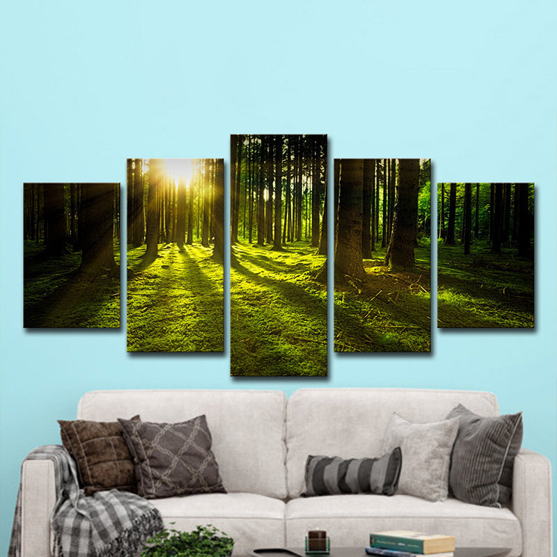 Vivolux | Zonlicht Schijnt Door Bos Canvas Multi-Piece Moderne Woonkamer Muur Kunst in Groen