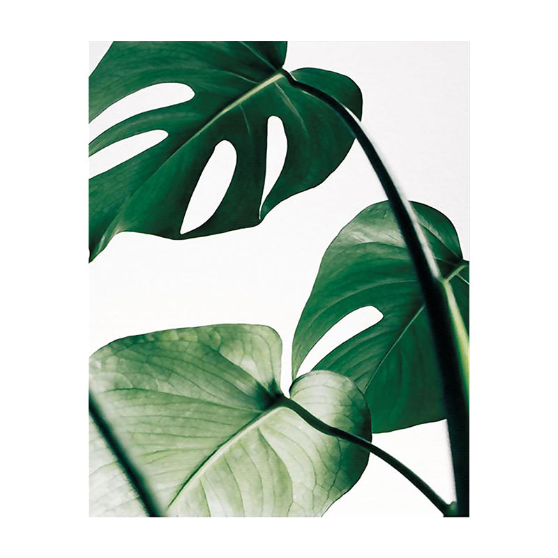 Vivolux | Textured Monstera Leaves Wanddekor Tropische Leinwandkunst für das Wohnzimmer