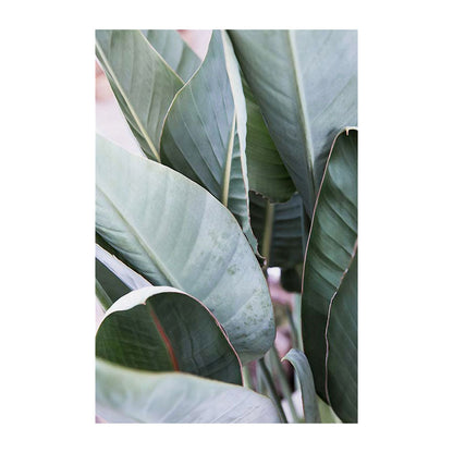 Vivolux | Botanische Wandkunst Nordic Texturiertes Wohnzimmer Leinwanddruck in Hellfarbe