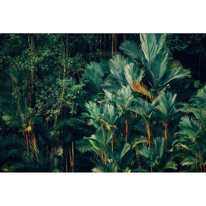 Vivolux | Folie Wand Decal Tropisch Sierlijk Meisjes Slaapkamer Wand Bekleding, Personaliseer