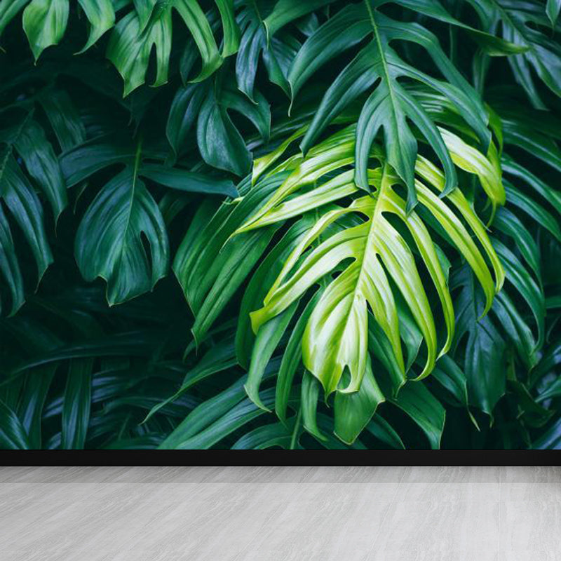 Vivolux | Folie Wand Decal Tropisch Sierlijk Meisjes Slaapkamer Wand Bekleding, Personaliseer