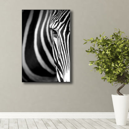 Vivolux | Fotografie Zebra Leinwand Wandkunst Sanfte Farben Vintage-Stil Gemälde für das Wohnzimmer