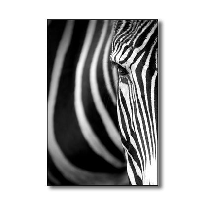 Vivolux | Fotografie Zebra Leinwand Wandkunst Sanfte Farben Vintage-Stil Gemälde für das Wohnzimmer