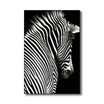 Vivolux | Fotografie Zebra Leinwand Wandkunst Sanfte Farben Vintage-Stil Gemälde für das Wohnzimmer