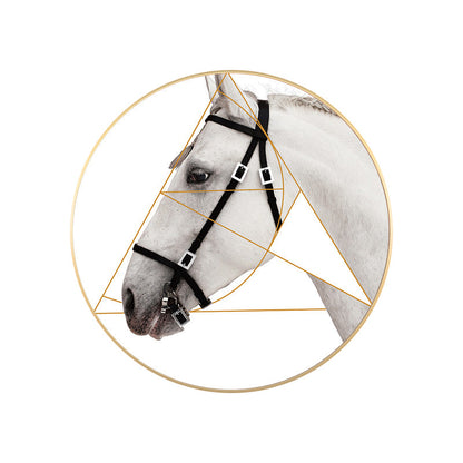 Vivolux | Gemischte Medien Pferd Wanddekoration Moderner Stil Leinwandkunst Druck, Mehrere Größen Verfügbar