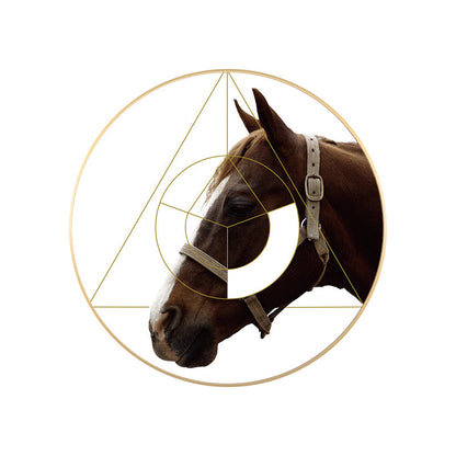 Vivolux | Gemischte Medien Pferd Wanddekoration Moderner Stil Leinwandkunst Druck, Mehrere Größen Verfügbar