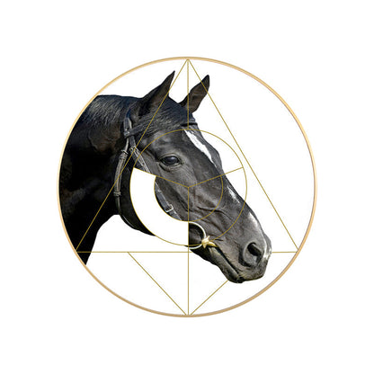 Vivolux | Gemischte Medien Pferd Wanddekoration Moderner Stil Leinwandkunst Druck, Mehrere Größen Verfügbar