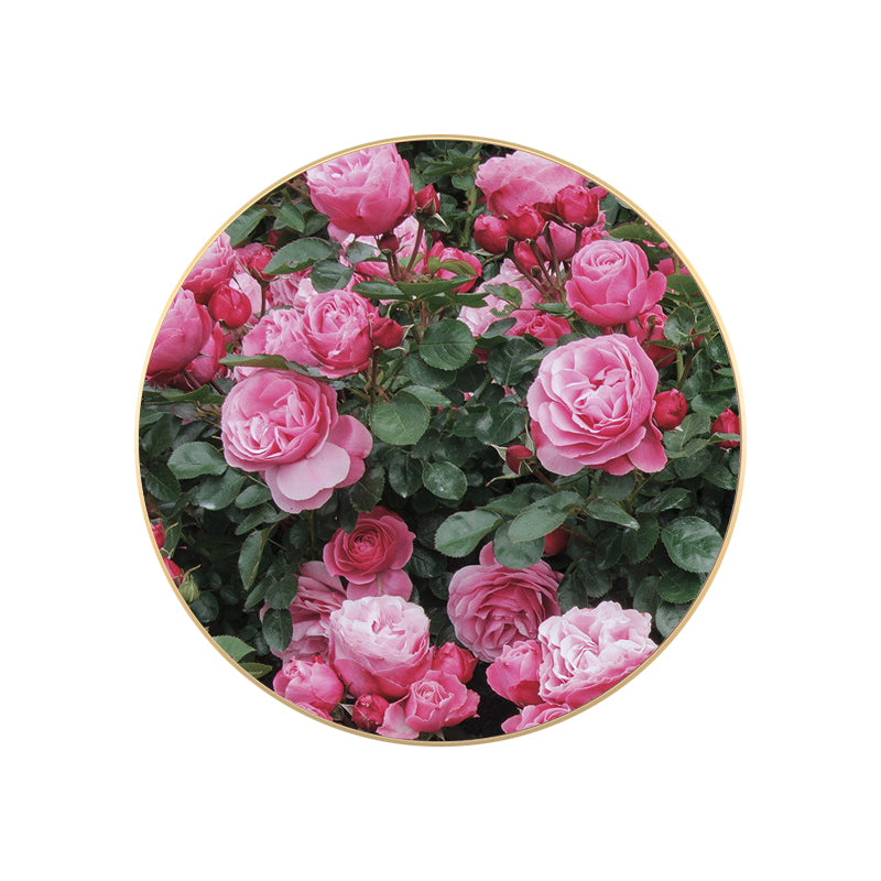 Vivolux | Französische Landblumenblüte Leinwand Pastellfarbe Texturiertes Gemälde für das Wohnzimmer