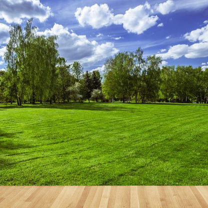 Vivolux | Large Sky Landscape Wall Art Contemporary Natural Landscape Wall Decoration in Pastel Colors