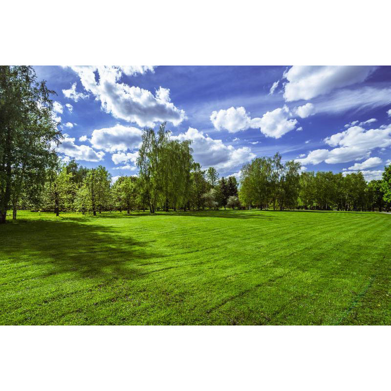 Vivolux | Large Sky Landscape Wall Art Contemporary Natural Landscape Wall Decoration in Pastel Colors