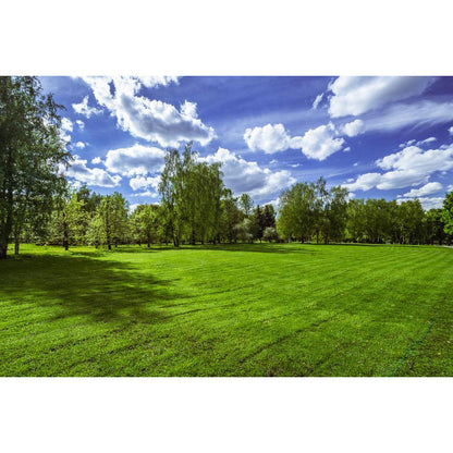 Vivolux | Large Sky Landscape Wall Art Contemporary Natural Landscape Wall Decoration in Pastel Colors