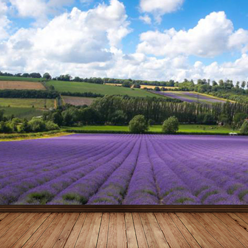 Vivolux | Large Sky Landscape Wall Art Contemporary Natural Landscape Wall Decoration in Pastel Colors