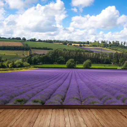 Vivolux | Large Sky Landscape Wall Art Contemporary Natural Landscape Wall Decoration in Pastel Colors