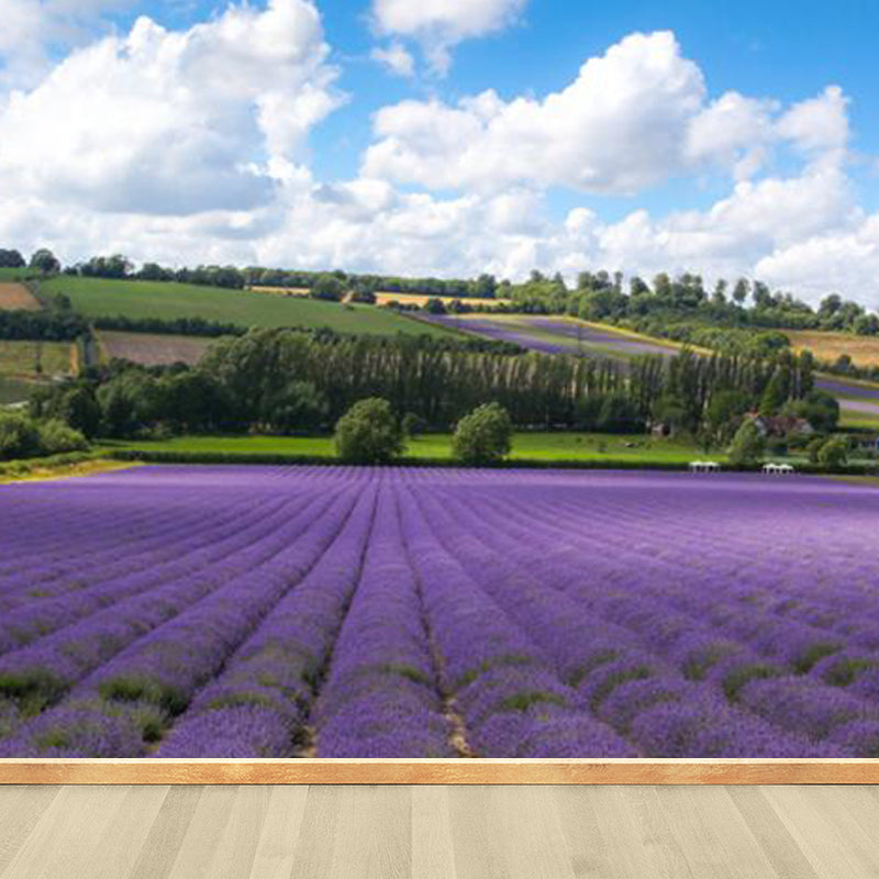 Vivolux | Large Sky Landscape Wall Art Contemporary Natural Landscape Wall Decoration in Pastel Colors