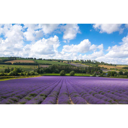 Vivolux | Large Sky Landscape Wall Art Contemporary Natural Landscape Wall Decoration in Pastel Colors