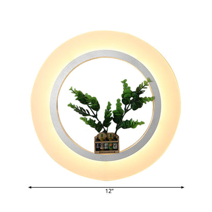 Vivolux | Acryl Ring Wandlamp met Planten Decऑ Hedendaagse Wandverlichting in Wit voor Studiekamer