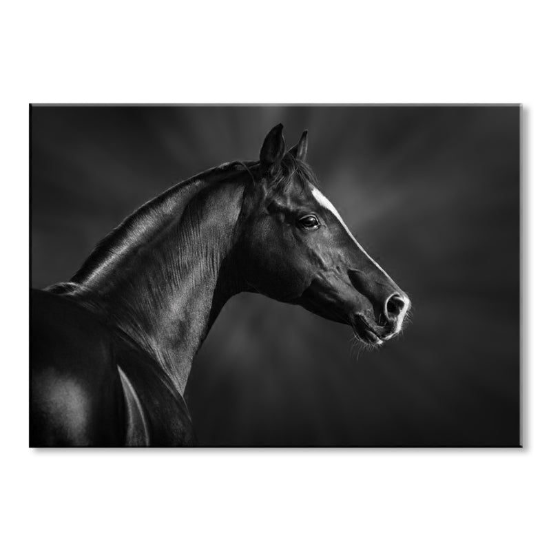 Vivolux | Asiatischer Stil Wildtier Wanddekor Lichfarbig Texturiertes Leinwand Kunst für Wohnzimmer