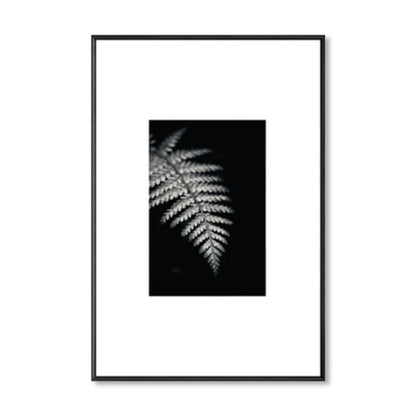 Vivolux | Retro-Stil Foto Botanics Leinwand Dunkel Färbig Texturiertes Wandkunst Druck für Wohnzimmer