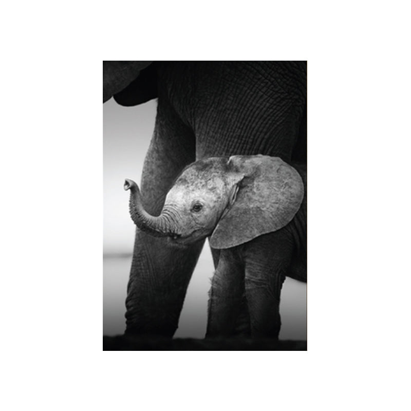 Vivolux | Fotografien Moderner Stil Leinwandkunst mit Wildtier-Muster in dunkler Farbe für Zuhause