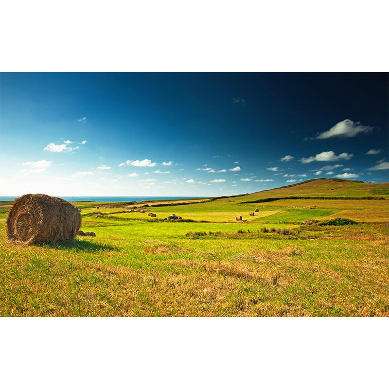 Vivolux | Große Stängel Stoppel Wandmalerei Dekor Wohnzimmer Naturszene Wandbekleidung in Lichtfarbe, Wasserdicht
