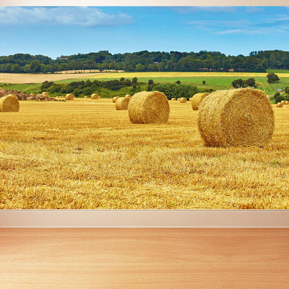 Vivolux | Große Stängel Stoppel Wandmalerei Dekor Wohnzimmer Naturszene Wandbekleidung in Lichtfarbe, Wasserdicht