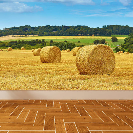 Vivolux | Große Stängel Stoppel Wandmalerei Dekor Wohnzimmer Naturszene Wandbekleidung in Lichtfarbe, Wasserdicht