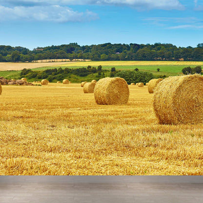 Vivolux | Große Stängel Stoppel Wandmalerei Dekor Wohnzimmer Naturszene Wandbekleidung in Lichtfarbe, Wasserdicht