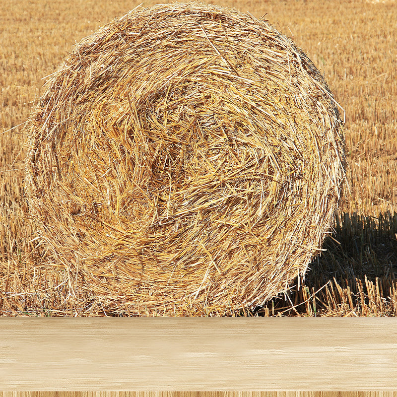 Vivolux | Große Stängel Stoppel Wandmalerei Dekor Wohnzimmer Naturszene Wandbekleidung in Lichtfarbe, Wasserdicht