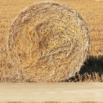 Vivolux | Große Stängel Stoppel Wandmalerei Dekor Wohnzimmer Naturszene Wandbekleidung in Lichtfarbe, Wasserdicht