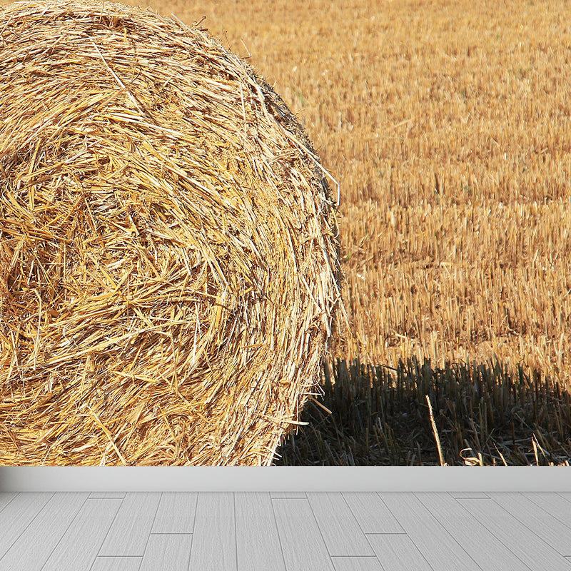 Vivolux | Große Stängel Stoppel Wandmalerei Dekor Wohnzimmer Naturszene Wandbekleidung in Lichtfarbe, Wasserdicht