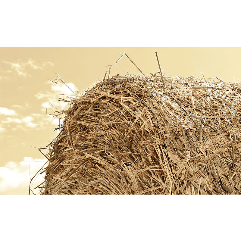 Vivolux | Große Stängel Stoppel Wandmalerei Dekor Wohnzimmer Naturszene Wandbekleidung in Lichtfarbe, Wasserdicht