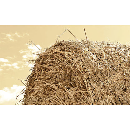 Vivolux | Große Stängel Stoppel Wandmalerei Dekor Wohnzimmer Naturszene Wandbekleidung in Lichtfarbe, Wasserdicht