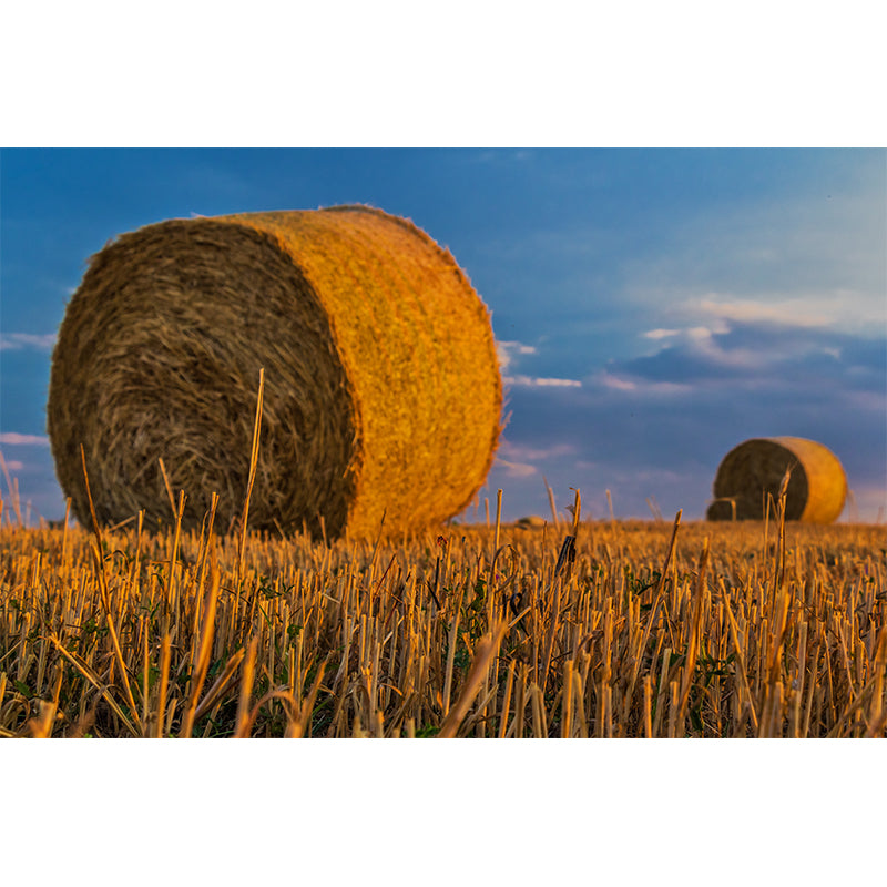 Vivolux | Große Stängel Stoppel Wandmalerei Dekor Wohnzimmer Naturszene Wandbekleidung in Lichtfarbe, Wasserdicht