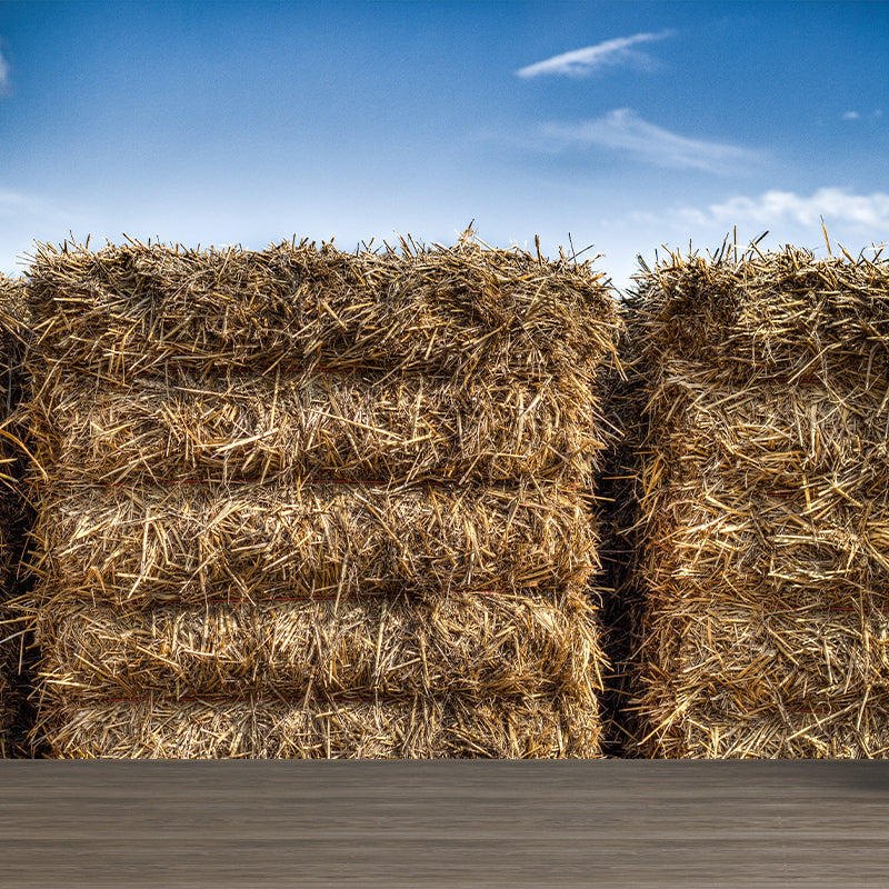 Vivolux | Moderne Scenery Gestapelde Hooi Muur Donkere Kleur Vlekbestendige Wanddecoratie voor Slaapkamer