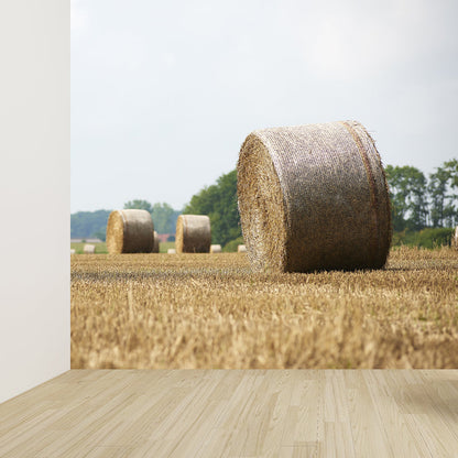 Vivolux | Moderne Scenery Gestapelde Hooi Muur Donkere Kleur Vlekbestendige Wanddecoratie voor Slaapkamer