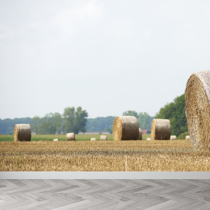 Vivolux | Moderne Scenery Gestapelde Hooi Muur Donkere Kleur Vlekbestendige Wanddecoratie voor Slaapkamer