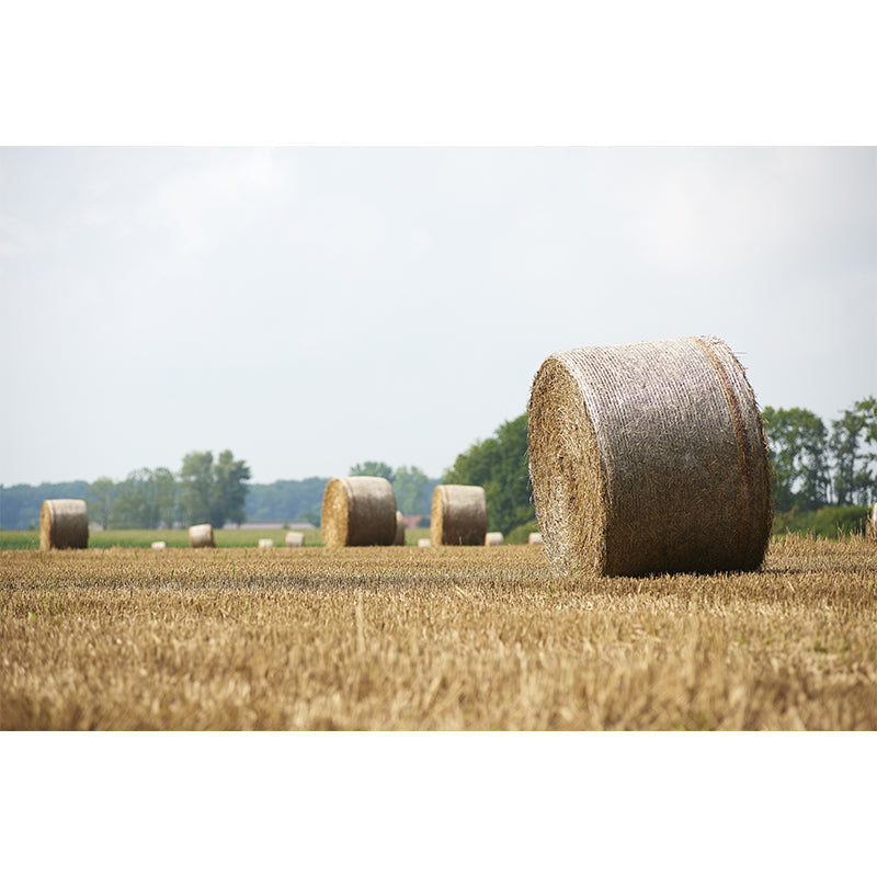 Vivolux | Moderne Scenery Gestapelde Hooi Muur Donkere Kleur Vlekbestendige Wanddecoratie voor Slaapkamer