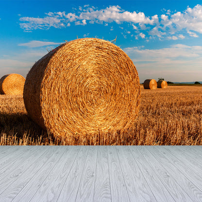 Vivolux | Moderne Scenery Gestapelde Hooi Muur Donkere Kleur Vlekbestendige Wanddecoratie voor Slaapkamer