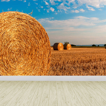 Vivolux | Moderne Scenery Gestapelde Hooi Muur Donkere Kleur Vlekbestendige Wanddecoratie voor Slaapkamer