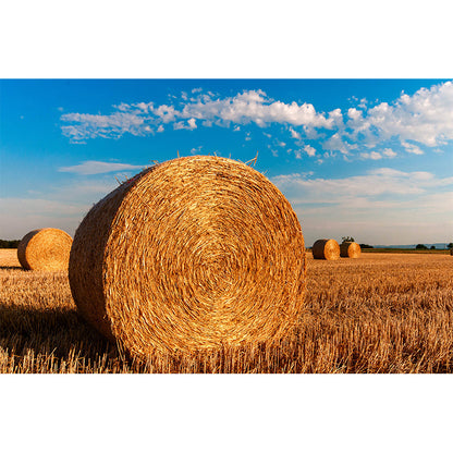 Vivolux | Moderne Scenery Gestapelde Hooi Muur Donkere Kleur Vlekbestendige Wanddecoratie voor Slaapkamer