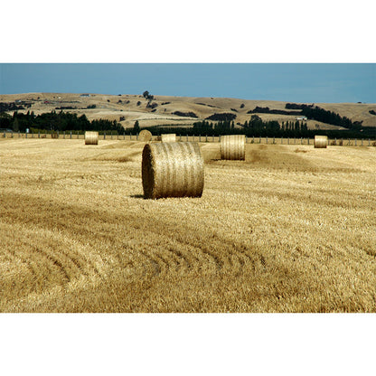 Vivolux | Farmland Heuballen Wandtapete Zeitgenössisches Vliesbehang Wanddekoration für Zuhause