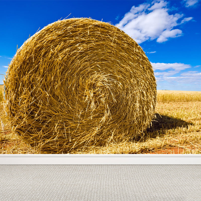 Vivolux | Feuchtigkeitsresistente Heuballen-Murale Personalisierte Moderne Wandverkleidung für Hausinterieur