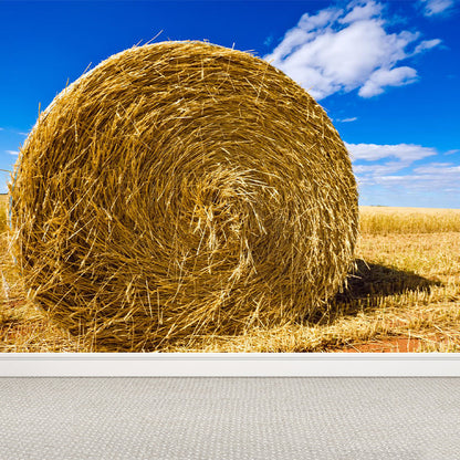 Vivolux | Feuchtigkeitsresistente Heuballen-Murale Personalisierte Moderne Wandverkleidung für Hausinterieur