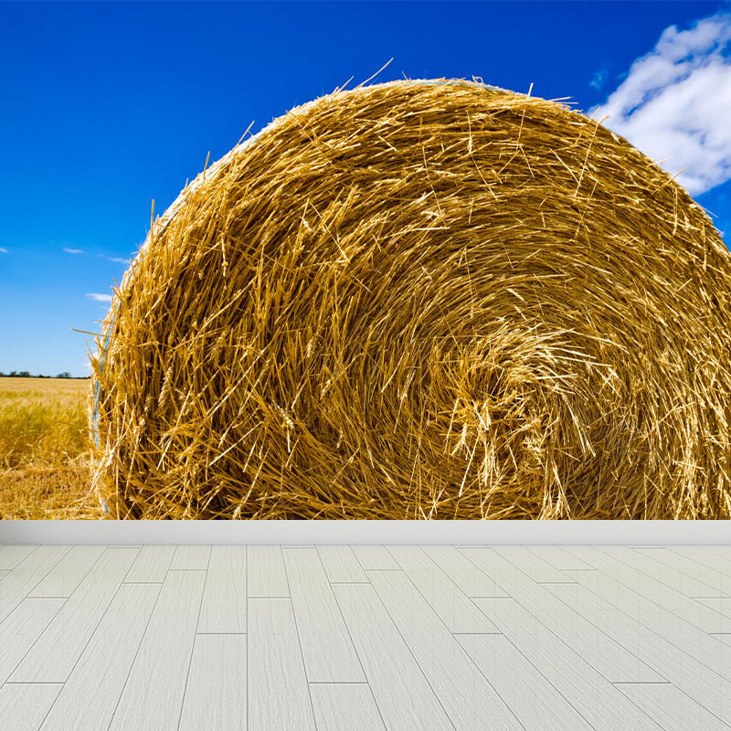 Vivolux | Feuchtigkeitsresistente Heuballen-Murale Personalisierte Moderne Wandverkleidung für Hausinterieur